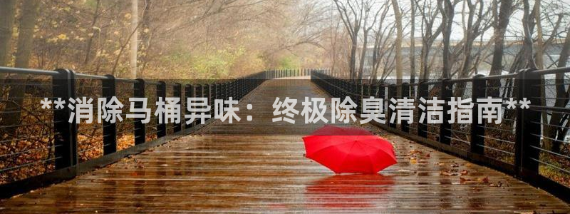 凯时国际平台有人赢吗
