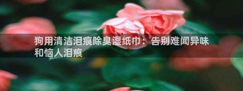 尊龙官方APP下载：狗用清洁泪痕除臭湿纸巾：告别难闻异味