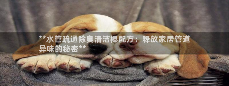 尊龙实业 吴友良