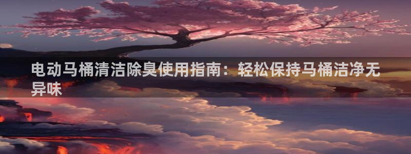 尊龙凯时能做退米么：电动马桶清洁除臭使用指南：轻松保持马