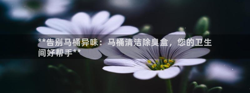 尊龙凯时人生就是搏技术实力：**告别马桶异味：马桶清洁除
