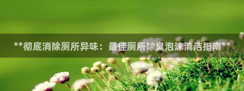 凯时首页登录：**彻底消除厕所异味：最佳厕所除臭泡沫清洁