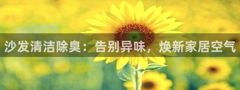 尊龙凯时干什么的