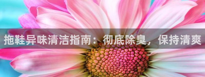 凯时网址多少