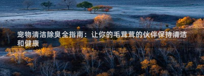 z6尊龙官网