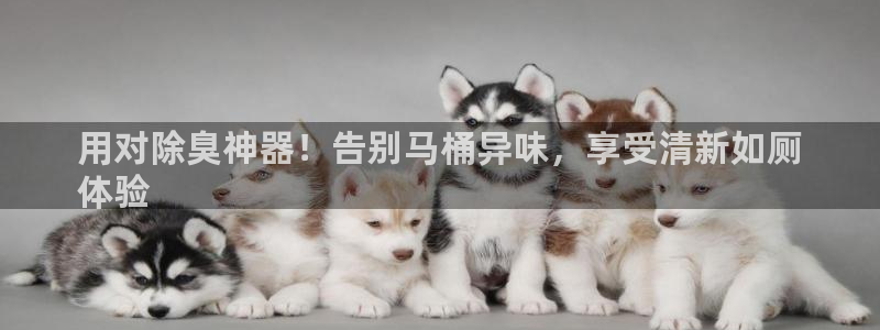 尊龙官网/首选kpm