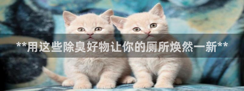 尊龙实业 吴友良