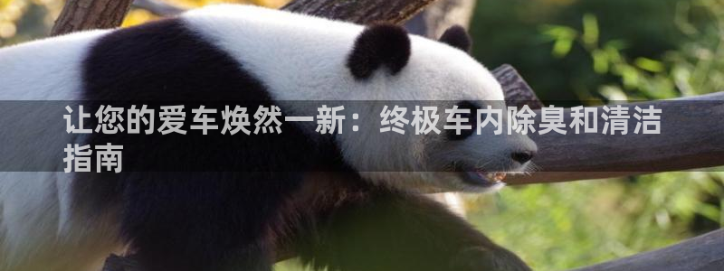 下载尊龙