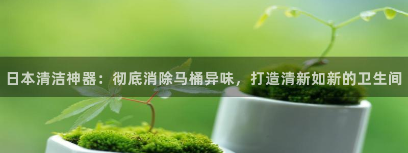 凯时a88