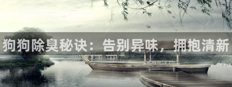 尊龙王t400