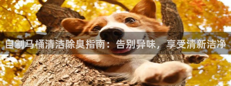 尊龙d88官网赢来就送38
