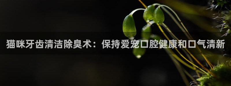 尊龙凯时捕鱼游戏能玩吗
