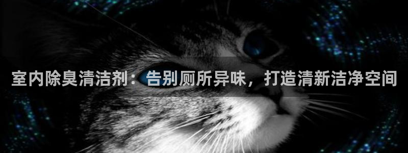 尊龙凯时几百万怎么下款：室内除臭清洁剂：告别厕所异味，打