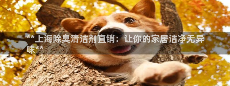 尊龙D88现金旧版