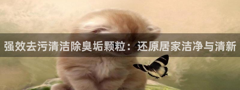z6com尊龙凯时百家乐下载：强效去污清洁除臭垢颗粒：还