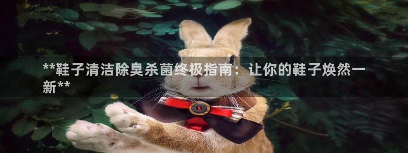 尊龙凯时输了100万：**鞋子清洁除臭杀菌终极指南：让你