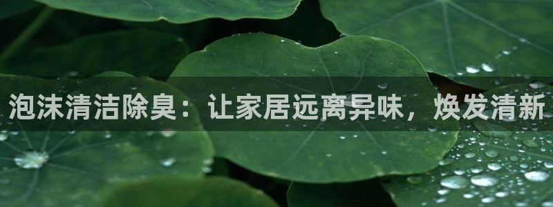 尊龙凯时论坛