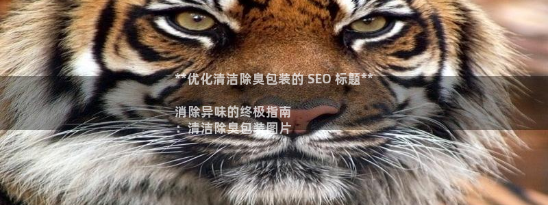 尊龙手机客户端下载APP