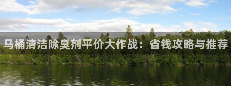 尊龙凯时赢不了：马桶清洁除臭剂平价大作战：省钱攻略与推荐