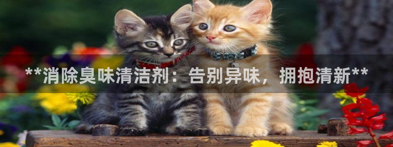 尊龙人生就是博i可靠吗
