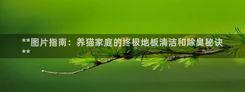 尊龙凯时app产品介绍