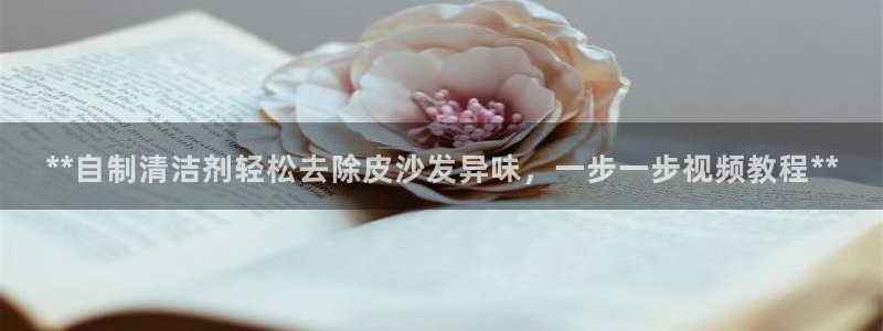 尊龙官网登录·(中国)官方网站-bd SPORTS：**