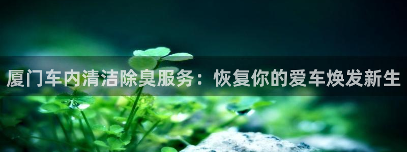 尊龙现金推荐ag发财网：厦门车内清洁除臭服务：恢复你的爱
