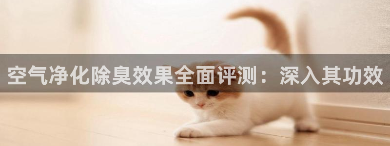 尊龙凯时不朽情缘