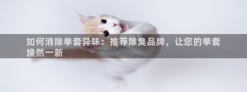 尊龙官网首页