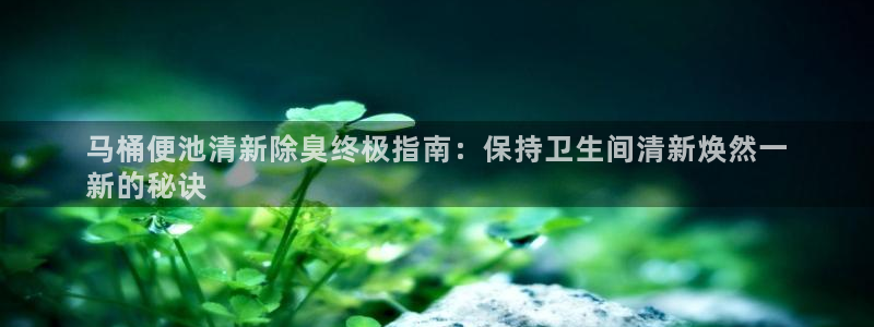 尊龙凯时人生就博官网登录：马桶便池清新除臭终极指南：保持