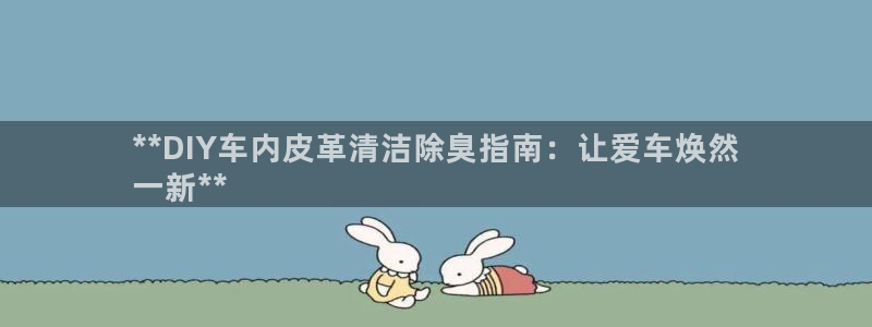 尊龙人品怎么样：**DIY车内皮革清洁除臭指南：让爱车焕