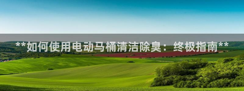 尊龙是什么软件：**如何使用电动马桶清洁除臭：终极指南*