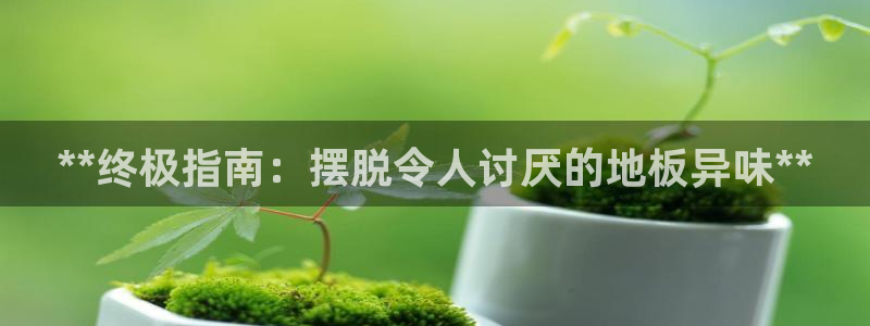 凯时k66娱乐登录：**终极指南：摆脱令人讨厌的地板异味