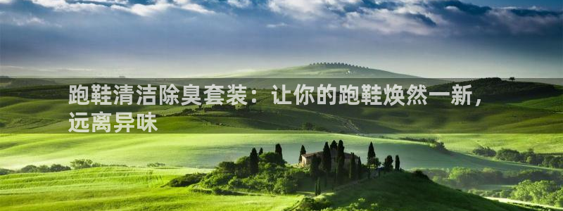 尊龙500价格：跑鞋清洁除臭套装：让你的跑鞋焕然一新，

