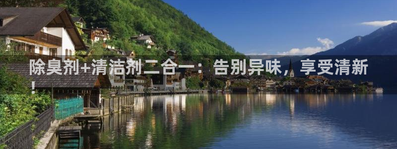 尊龙app登录不了：除臭剂+清洁剂二合一：告别异味，享受