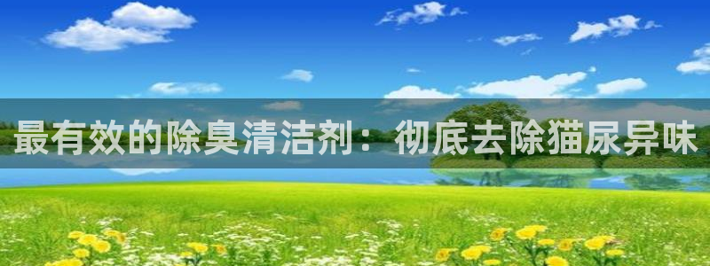尊龙官网免费下载
