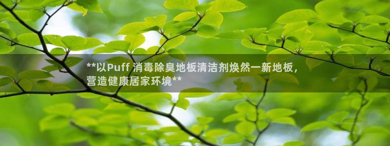 尊龙z6平台：**以Puff 消毒除臭地板清洁剂焕然一新