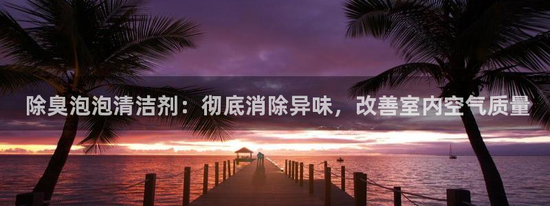 AG尊龙注册在线游戏： 除臭泡泡清洁剂：彻底消除异味，改