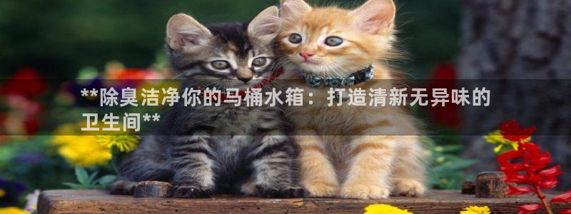 尊龙凯时取钱很慢