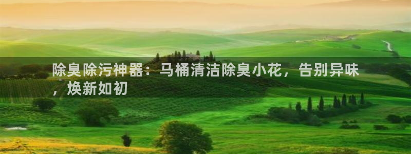 尊龙凯时网站首页手机登录：除臭除污神器：马桶清洁除臭小花