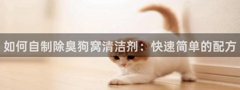 尊龙官网免费下载