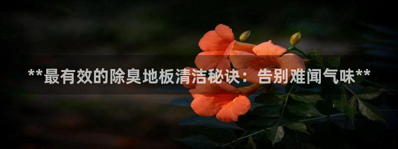 尊龙凯时赞助：**最有效的除臭地板清洁秘诀：告别难闻气味