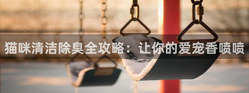 尊龙服饰品牌介绍