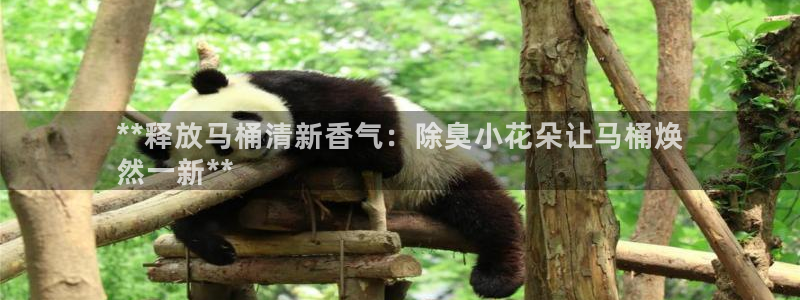 d88尊龙凯时