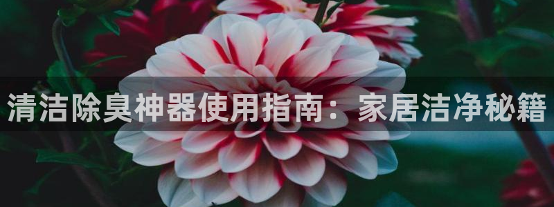 尊龙体育正规么：清洁除臭神器使用指南：家居洁净秘籍