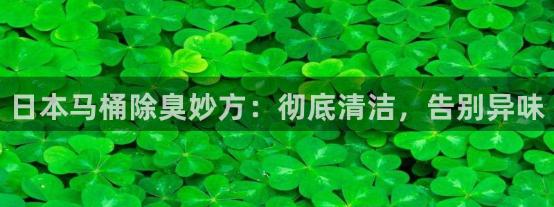 凯时最新官方APP下载：日本马桶除臭妙方：彻底清洁，告别