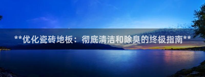 尊龙下载推荐网站：**优化瓷砖地板：彻底清洁和除臭的终极