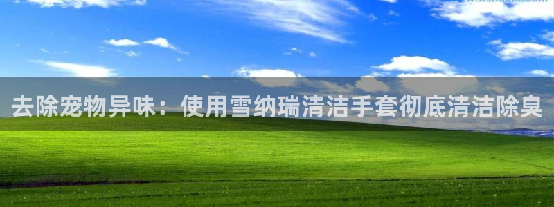 尊龙集团有限公司是国企吗
