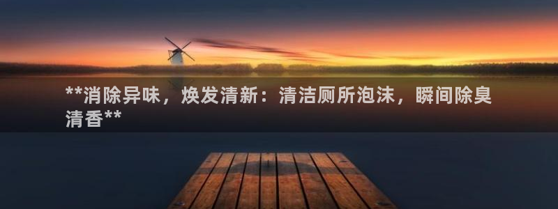 尊龙凯时麻将胡了：**消除异味，焕发清新：清洁厕所泡沫，