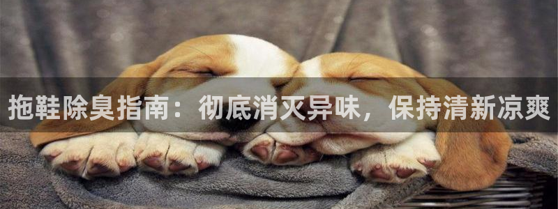 尊龙凯时有封银行卡的吗：拖鞋除臭指南：彻底消灭异味，保持